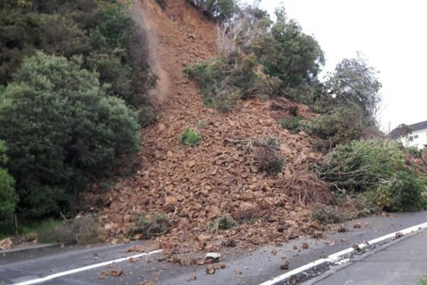 Landslip New Zealand