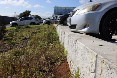 Bevan Morrison Car Park Retaining Wall